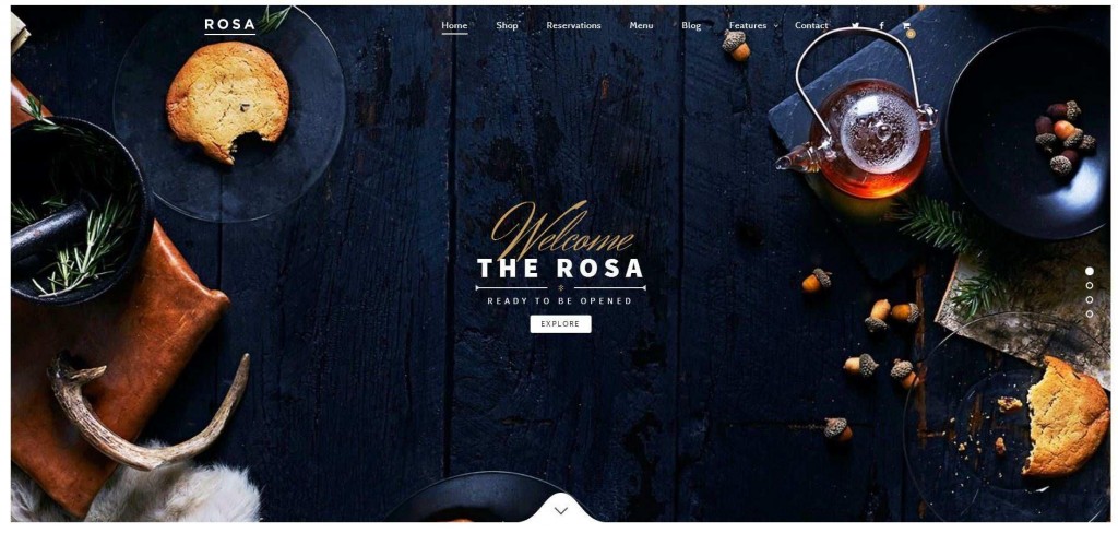 Rosa wordpress theme